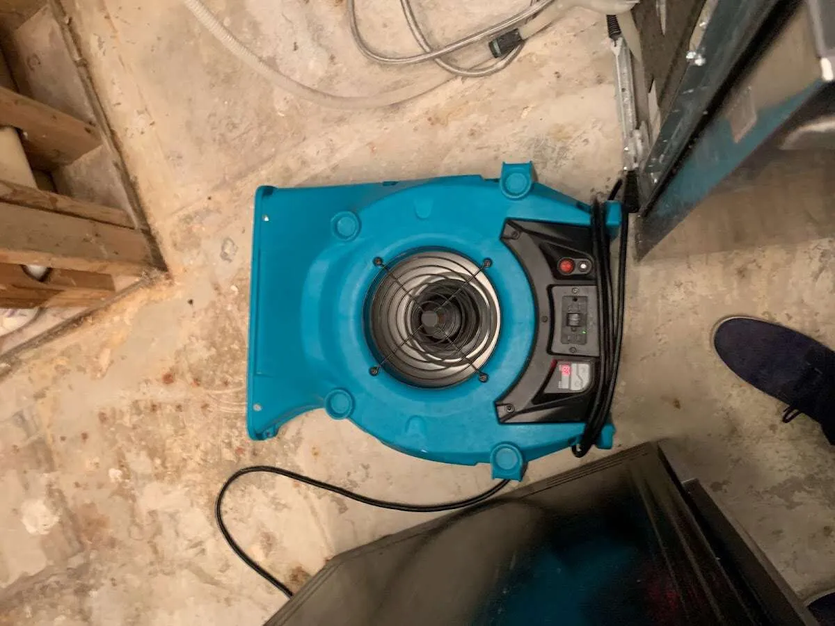 Air mover drying equipment for Mold Remediation & Removal in Saugus